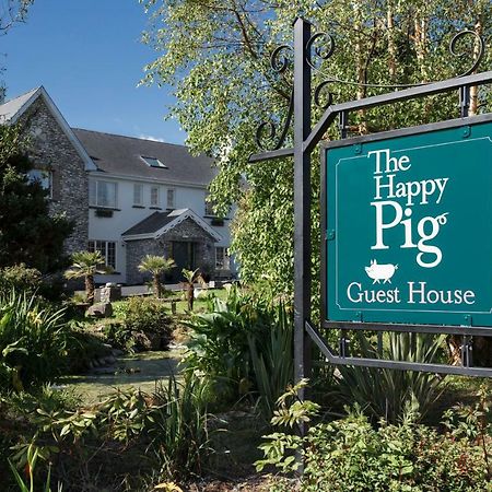 The Happy Pig Hotell Kenmare Eksteriør bilde