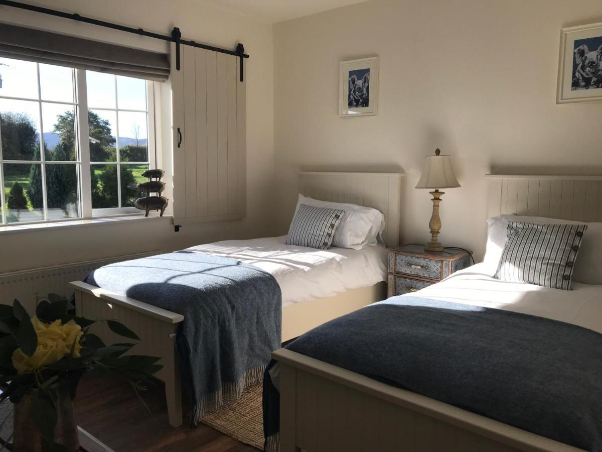 The Happy Pig Hotell Kenmare Eksteriør bilde